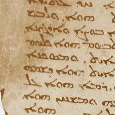 Profile picture for user Naima Afif